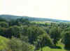 vue sur le bois