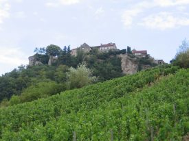 Vignoble de Château-Chalon