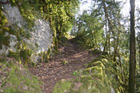 Un sentier de randonnée dans le Jura