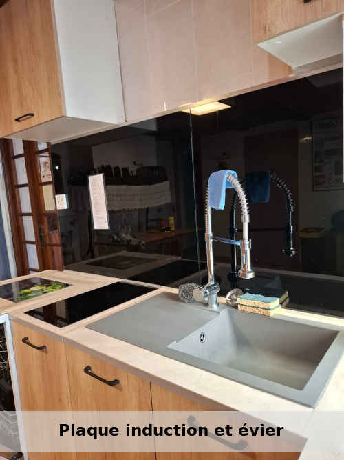 Plaque induction et évier pour préparer vos plats